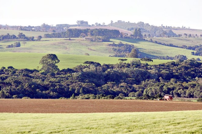 Plantação no interior do Paraná, com mata ao fundo: conflito entre ruralistas e ambientalistas não foi equacionado na proposta final do Código Florestal |