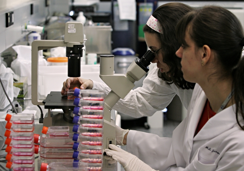 Pesquisa, ensino e extensão são o foco das universidades desde o século 19, mas há discordâncias. Alguns especialistas defendem mudanças, enquanto outros alegam que esse tripé ajuda no desenvolvimento regional | Mauricio Lima/AFP