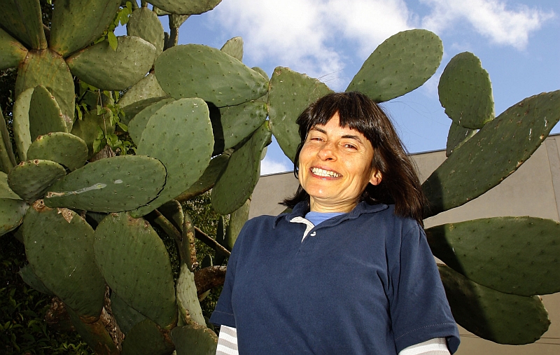 Doralina: medo de frequentar lugares com muitas pessoas | Priscila Forone/Gazeta do Povo