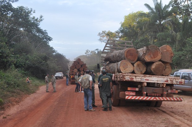 Caminhões com madeira ilegal apreendidos pelo Ibama no Mato Grosso | Foto: Divulgação