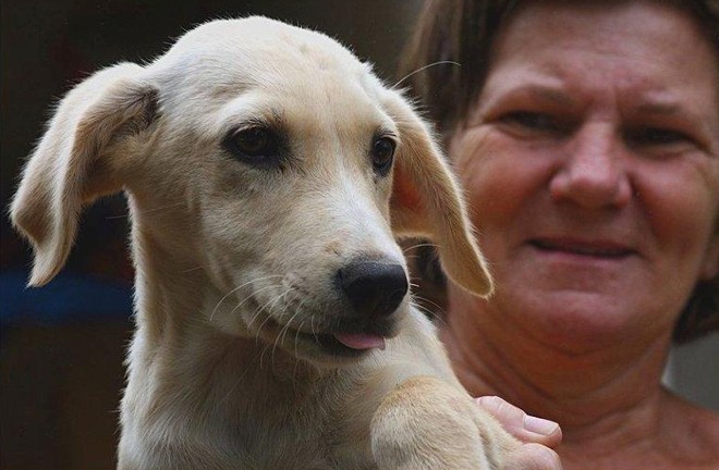 Sandra com o cachorro Nevada, que foi abandonado na frente da associação |