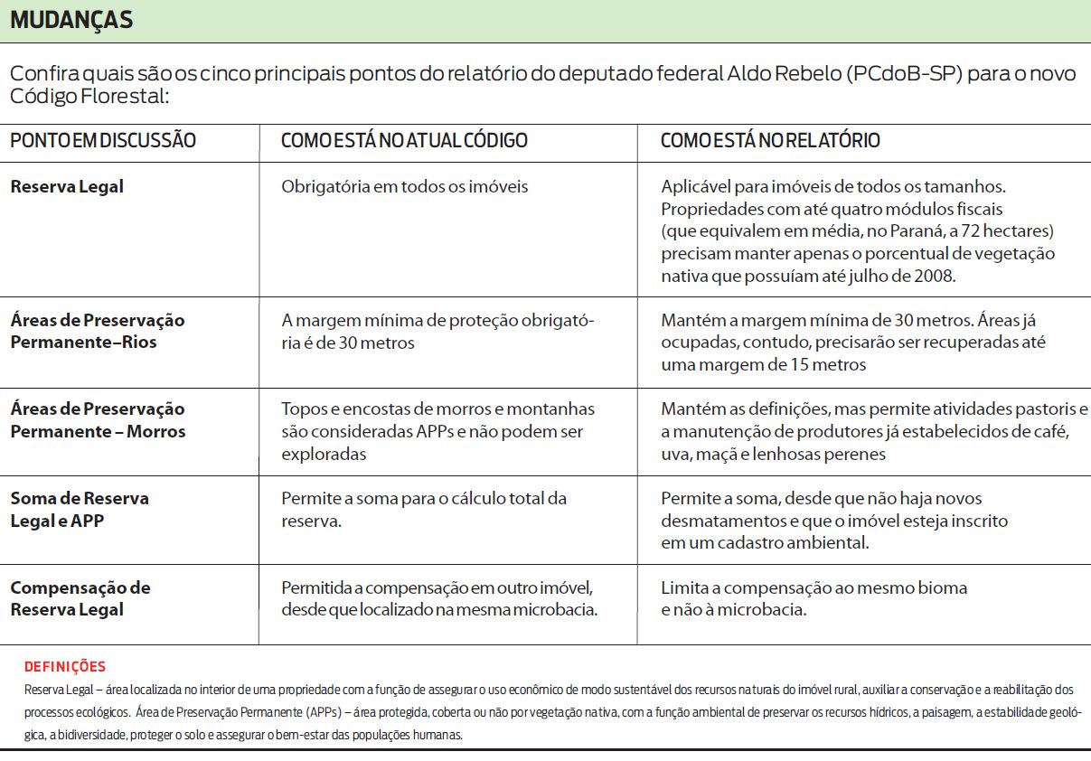 Confira quais são os cinco principais pontos do relatório para o novo Código Florestal |