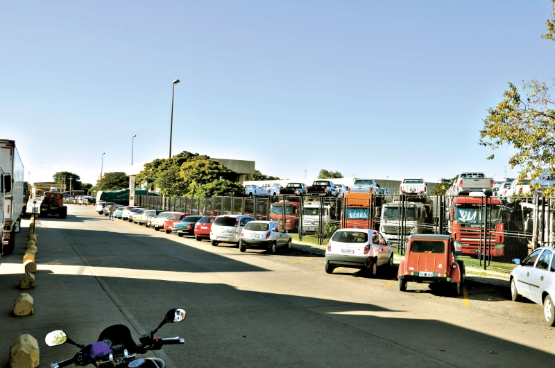 Cegonhas vindas da Argentina estão em Uruguaiana (RS) e podem levar até dois meses para entrar no Brasil | Anderson Petroceli