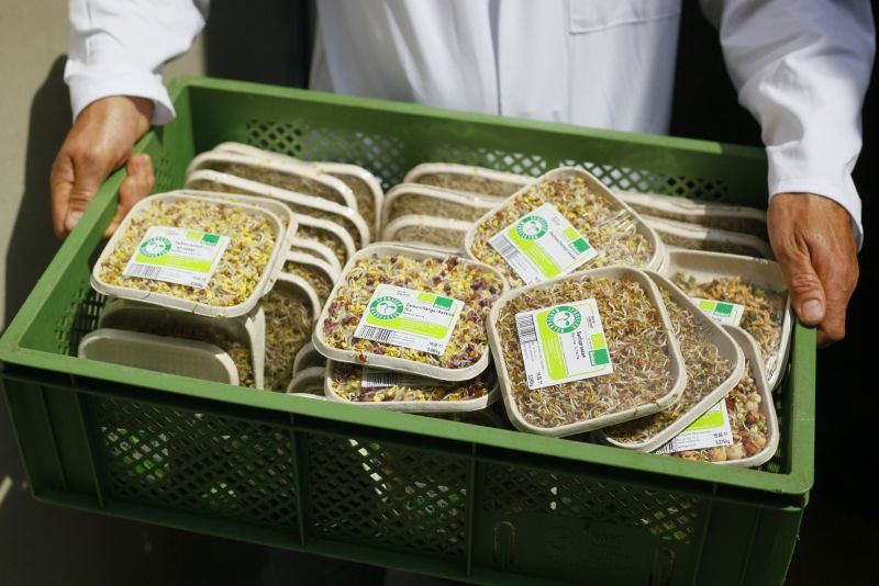 Pacotes com brotos vegetais produzidos em uma fazenda orgânica que está sendo investigada sob a suspeita de ser a origem da espécie letal da bactéria E.coli | Ingo Wagner/AFP