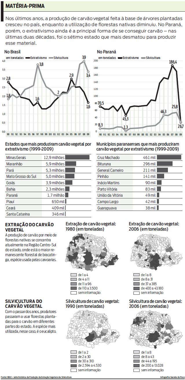 Veja os principais dados sobre o desmatamento no estado |