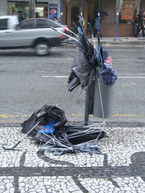 | Colaboração Cíntia Mazzaro