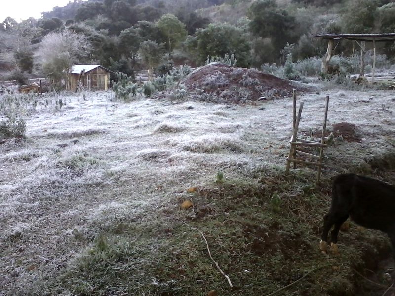 Geada em Francisco Beltrão registrada por Caroline Thomaz | Caroline Thomaz