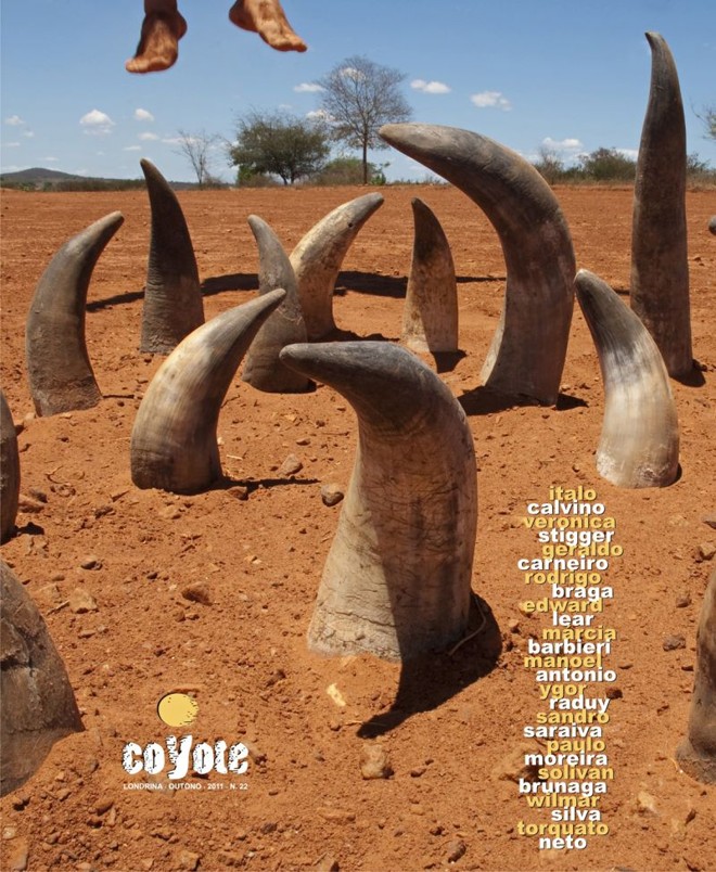 A capa é de autoria do fotógrafo amazonense Rodrigo Braga |