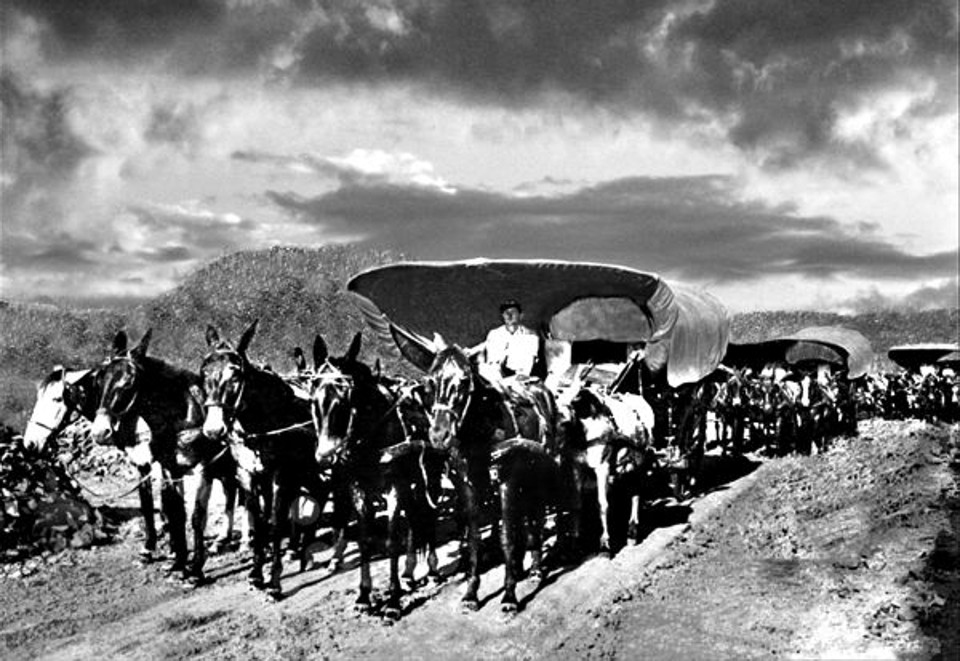 Carroções coloniais transpõem a Serra da Esperança na década de 1930 em Guarapuava. Era uma viagem rumo ao futuro |
