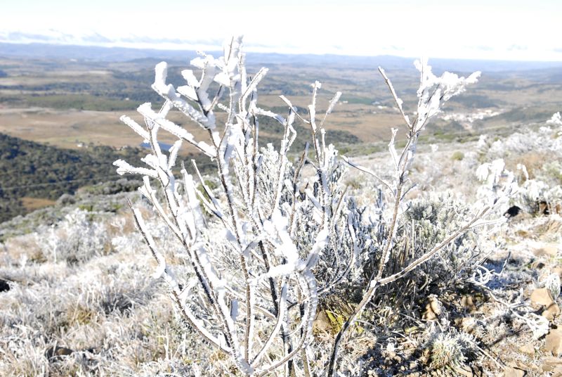 A neve úmida e soprada por causa do vento chegou a acumular em algumas localidades, como São Joaquim, na serra catarinense | Vani Boza/Diário Catarinense