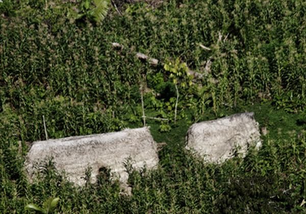 Imagem aérea mostra aldeia indígena | Divulgação/Funai