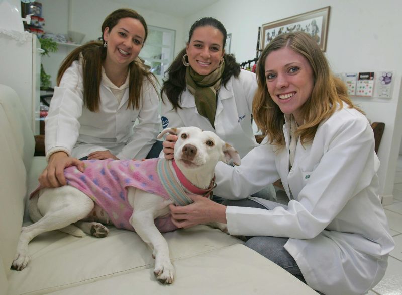 As sócias Renata, Taciana e Thaís: antes de abrir clínica, um ano trabalhando em outros estabelecimentos | Ivonaldo Alexandre/ Gazeta do Povo