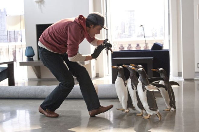 Cada um dos bichos têm uma personalidade. 