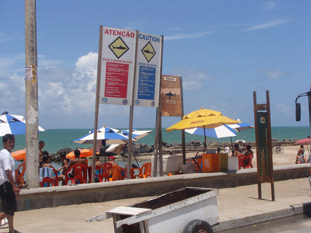 Placas alertam para o risco de ataque de tubarões em praia onde surfista foi atacado pelo animal nesta quarta-feira | Divulgação/Instituto Oceanário de Pernambuco
