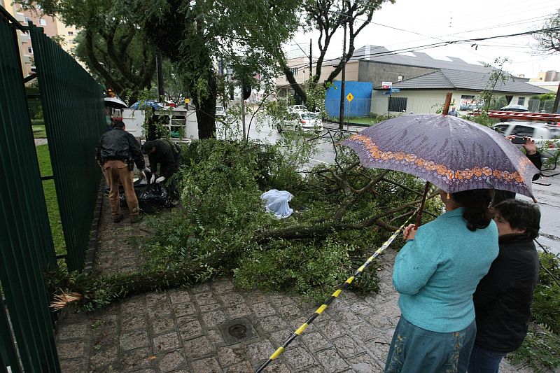 Homem foi atingido por galhos em frente a residência dele | Marcelo Elias / Agência de Notícias Gazeta do Povo