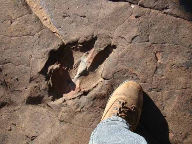 Formação de pegadas em rocha intriga pesquisadores |
