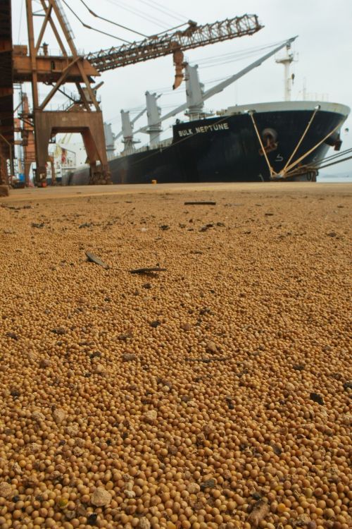 | Daniel Castellano/ Gazeta do Povo