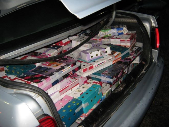 Pássaros tinham sido escondidos em caixas de papelão e de leite longa vida, com perfurações para permitir a passagem do ar |