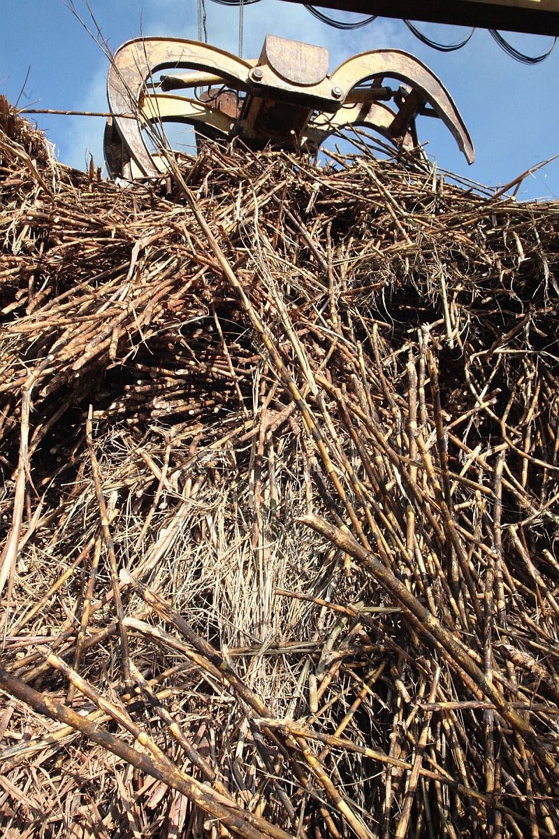 O clima prejudicou a produtividade da cana, reduzindo a oferta de etanol e açúcar | Dirceu Portugal/ Gazeta do Povo