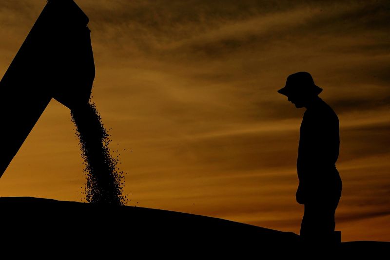 Com mais de 75 mil vagas abertas em todo o país em junho, principalmente no Nordeste e no Sudeste, a agropecuária foi o setor que mais contratou no mês. Outros setores, no entanto, já reduzem o ritmo | Antônio Costa/ Gazeta do Povo