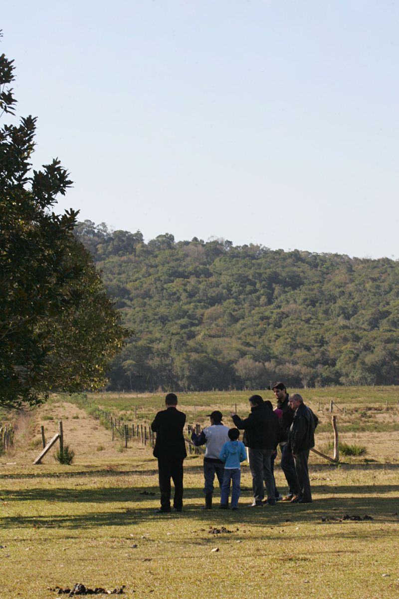 Vista do terreno que abrigará o novo CT do Coxa: 450 mil m² na região de Curitiba | Ivonaldo Alexandre / Gazeta do Povo