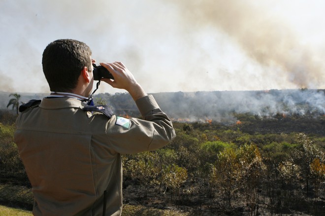 Bombeiro observa área incendiada | 