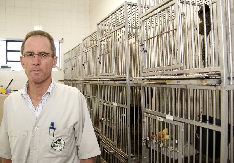 Para Rogério Lange, da UFPR, visão contrária ao uso de animais é sentimentalista | Marco André Lima / Gazeta do Povo