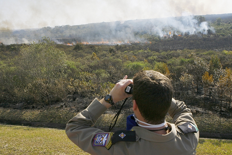 Bombeiro observa o avanço das chamas: cigarro jogado às margens da BR-376 pode ter iniciado o fogo | Henry Milleo/Gazeta do Povo