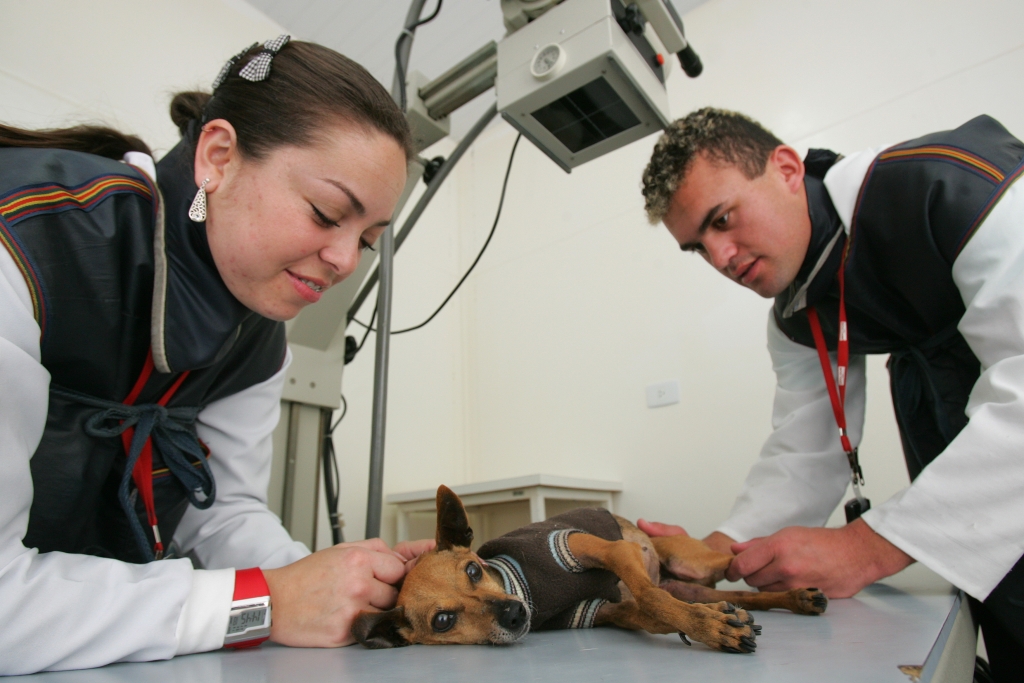 Mariane está no penúltimo ano da faculdade e já faz atendimentos na clínica da UTP | Antonio More/Gazeta do Povo