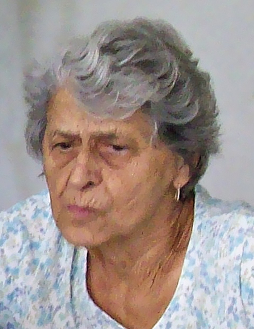  | Arquivo da família