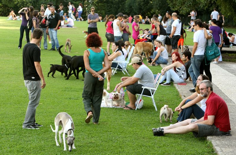 O Parcão, como ficou conhecido o gramado nos fundos do MON, ficará fechado para obras por pelo menos 15 dias | Hugo Harada / Agência de Notícias Gazeta do Povo