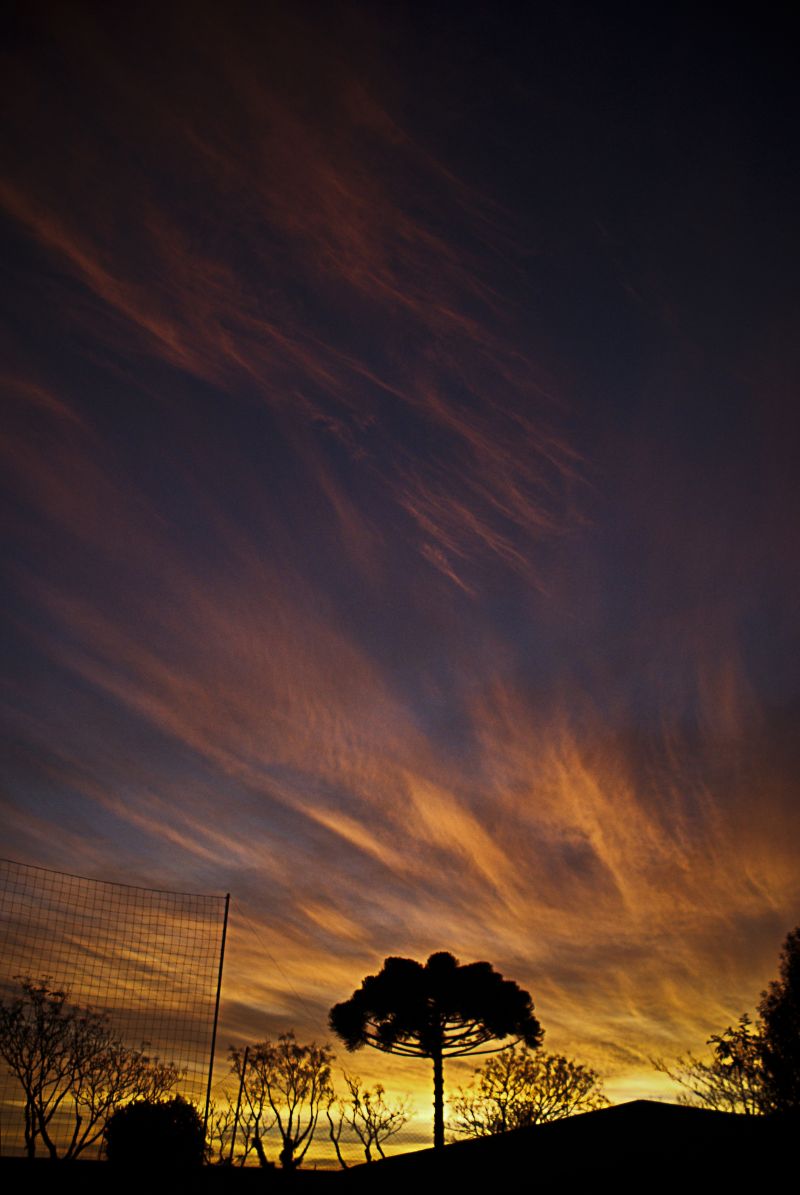 | Marco Lima/Gazeta do Povo