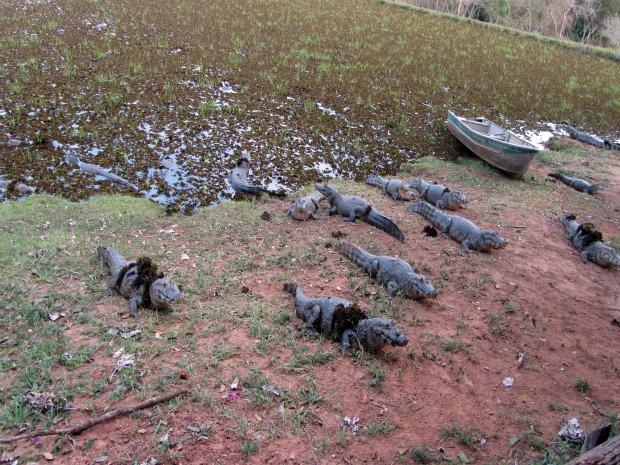 Segundo advogado, renovação de licença está em trâmite no Ibama | Foto: Divulgação/PF