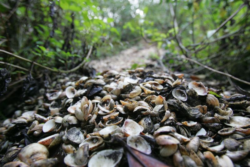 | Ivonaldo Alexandre/Gazeta do Povo