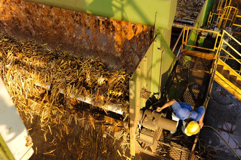 Produção de etanol: governo garante abastecimento | Fábio Dias/Gazeta Maringá