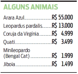 Veja o preço de alguns animais |