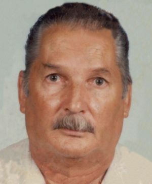 | Arquivo da família