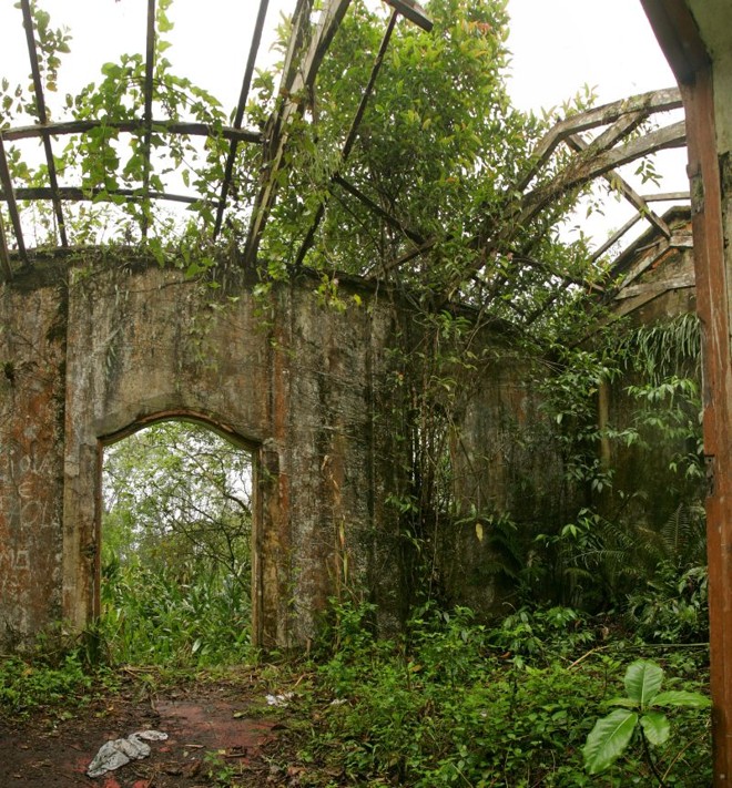 Mas o interior foi tomado por vegetação e vandalismo | 
