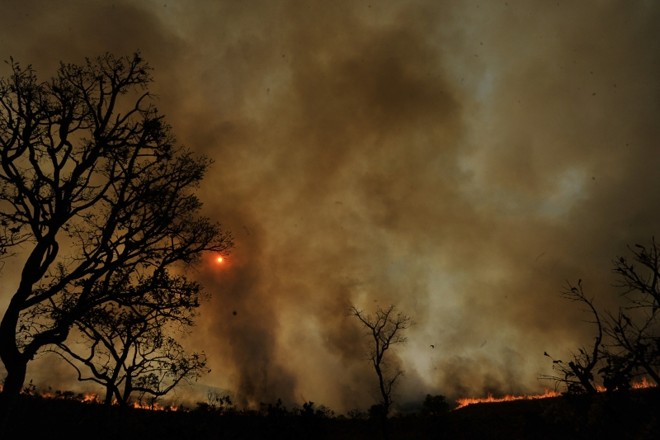 Fogo destroi vegetação da Área de Proteção Ambiental (APA) Gama e Cabeça de Veado, situada a 30 km ao sul do centro da Capital Federal, a área tem cerca de 25.000 hectares e engloba áreas urbanas, rurais e de preservação e experimentação como o Jardim Botânico de Brasília | 