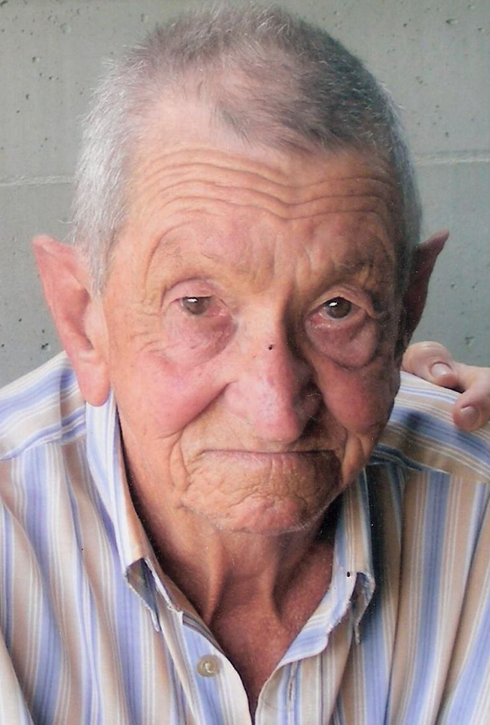  | Arquivo da família