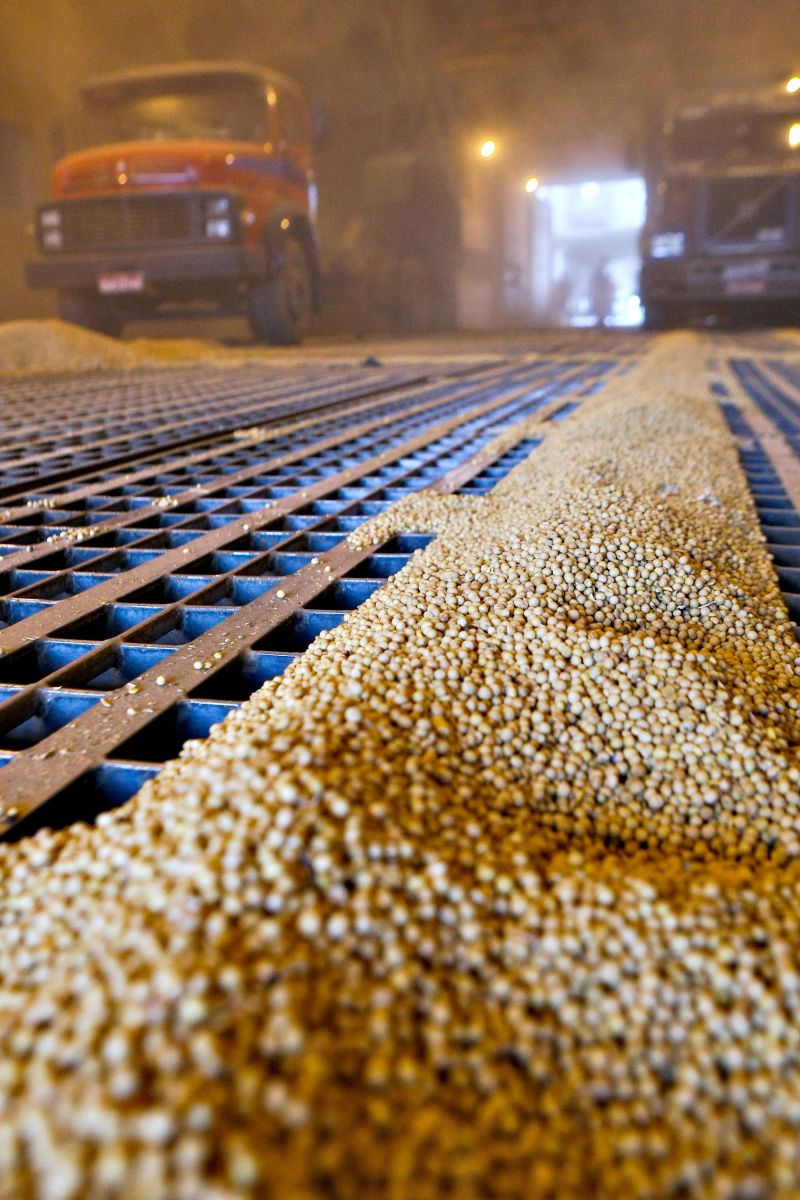 Caminhões despejam soja no Porto de Paranaguá: desvio de grãos foi uma das irregularidades investigadas pela Polícia Federal na Operação Dallas | Daniel Castallano/ Gazeta do Povo