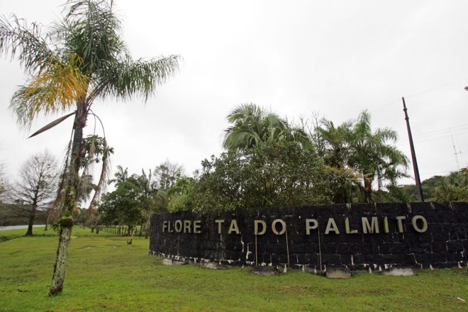 Floresta Estadual do Palmito | 