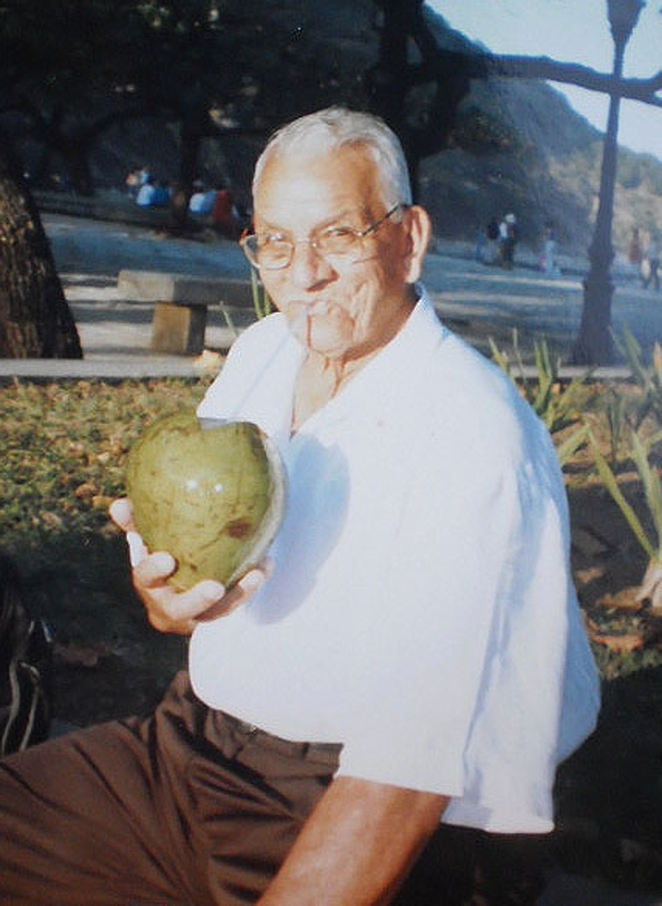  | Arquivo da família