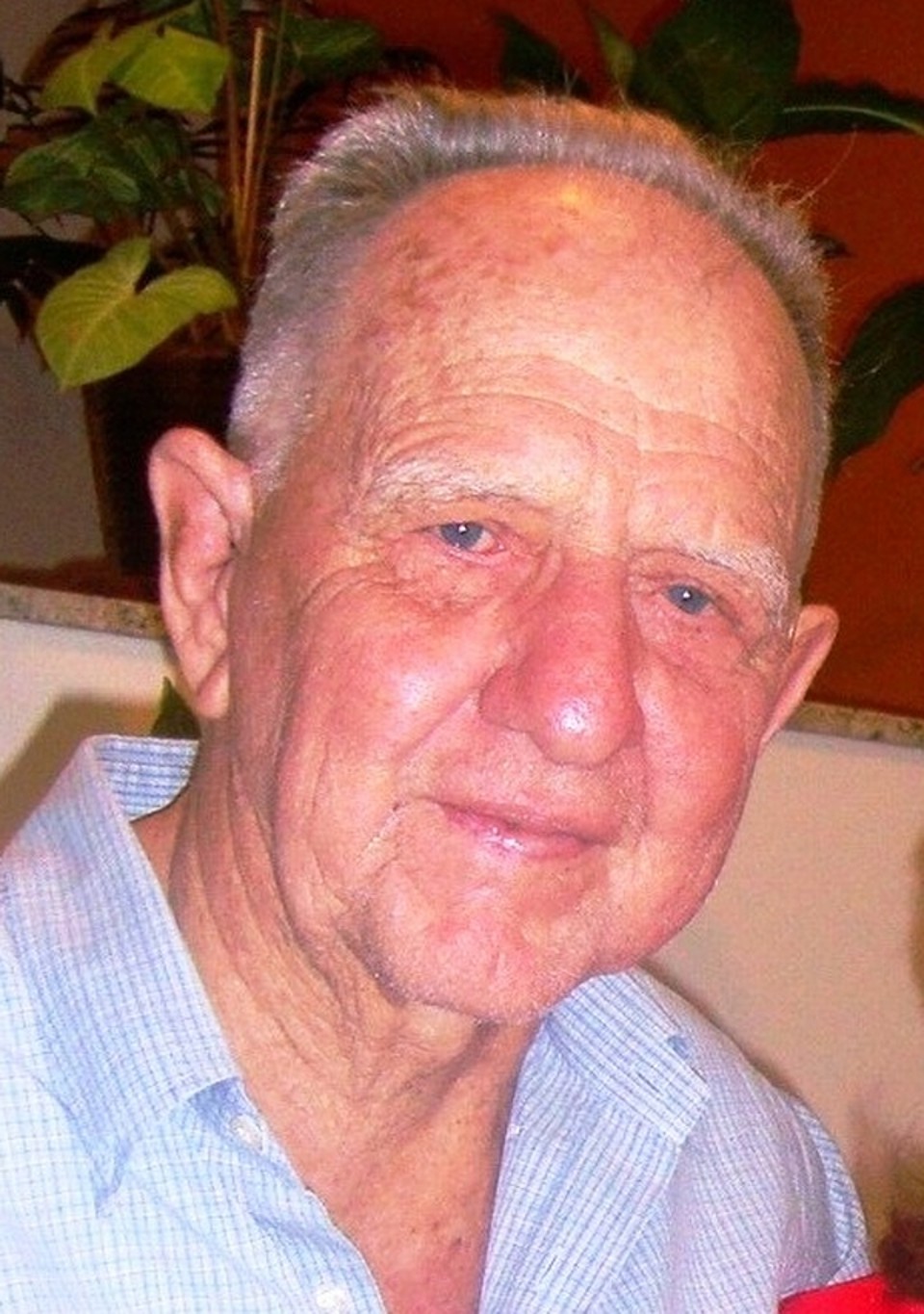  | Arquivo da família