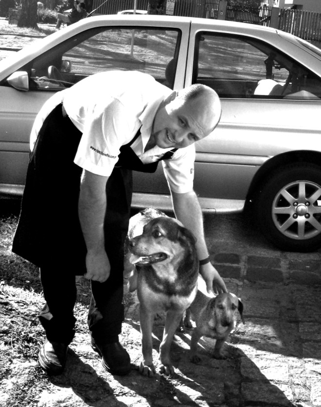 A Dama e o Vagabundo. Quem admira os antigos e geniais desenhos animados dos estúdios de Walt Disney e não lembra da história da simpática dupla canina? Pois bem. Curitiba é cheia de pequenas surpresas, uma delas é que aqui existe também casal idêntico. A nossa dama é uma cadelinha bassê e o vagabundo é daqueles cachorros que antigamente eram conhecidos como tomba, 