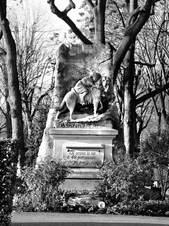 Herói canino. Na semana que passou mostramos a imagem do portão do Cemitério de Cães de Paris, que serviu de inspiração para a construção do portão do Passeio Público de Curitiba, em 1913. Recebemos telefonemas e e-mails de leitores que desejavam saber mais sobre o dito cemitério, alguns até sugerindo que se construa algo semelhante aqui em Curitiba. Cada um tem seu direito de dar asas à imaginação. No Cimetière des Chiens, em Asnières-sur-Seine, estão enterrados cães famosos como o Rintintin, trisavô do Rintintin  ator do cinema mudo. Logo na entrada do cemitério existe um monumento em honra ao cão Barry, um São Bernardo que durante sua existência, no início do século 19, salvou a vida de 40 pessoas perdidas em nevascas nos Alpes. O monumento mostra o cão transportando uma criança salva por ele | 
