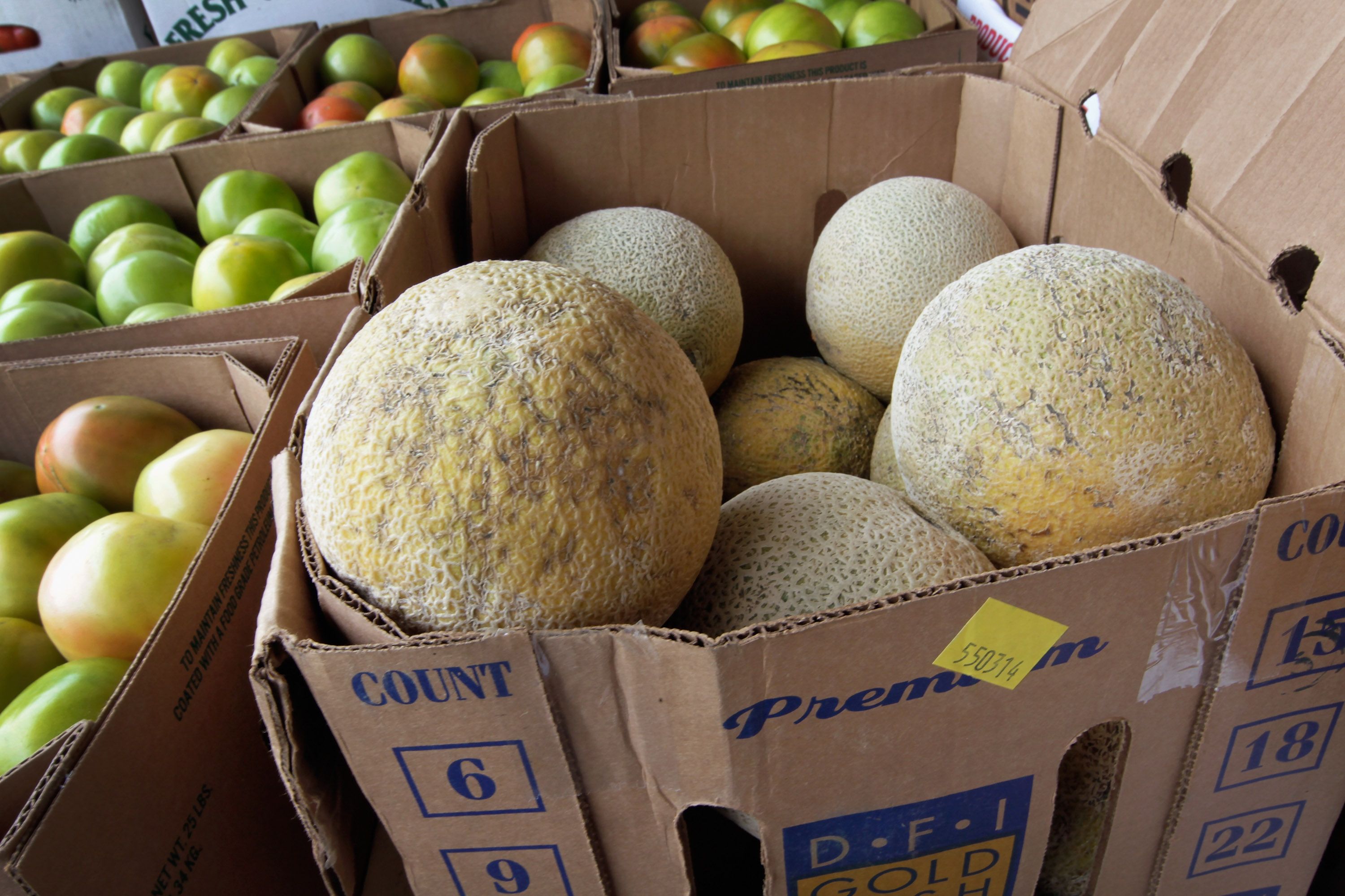 Melões em um mercado de Miami, na Flórida | Joe Raedle/Getty Images/AFP