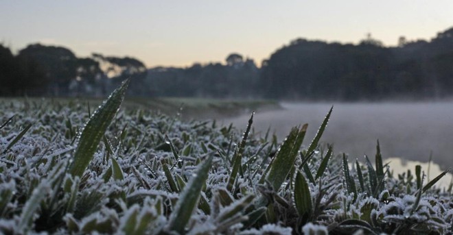 Geada é registrada nos municípios mais frios durante o inverno | Jonathan Campos / Agência de Notícias Gazeta do Povo