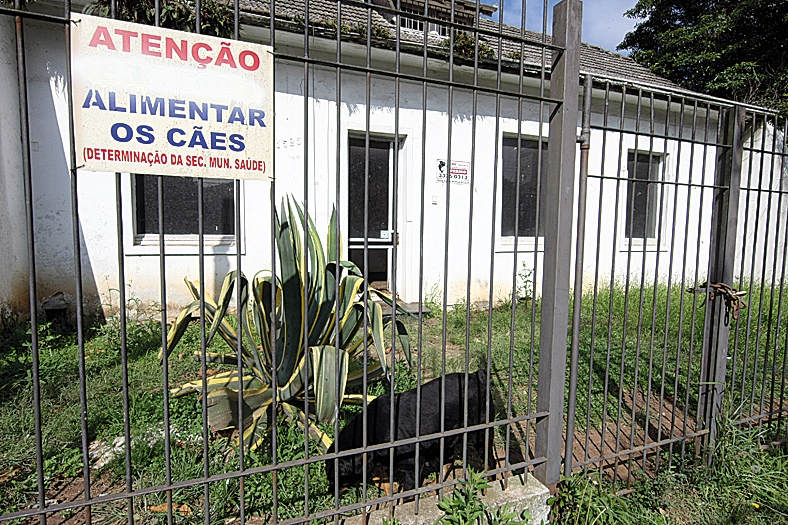 Mesmo multada, Feroz Cães de Guarda continua oferecendo serviço em Curitiba | Aniele Nascimento/Gazeta do Povo