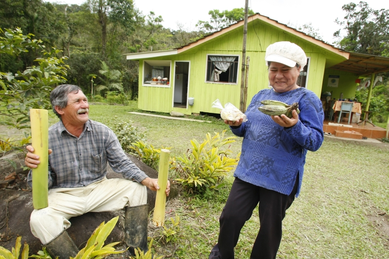 Francelino e a mulher, Marisa, exploram o cultivo de produtos como palmeiras e banana: propriedade virou ponto turístico | Fotos: Daniel Castellano/ Gazeta do Povo